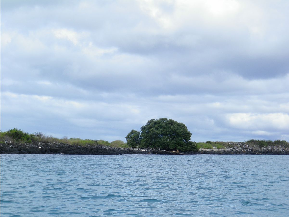 Galapagos Islands03